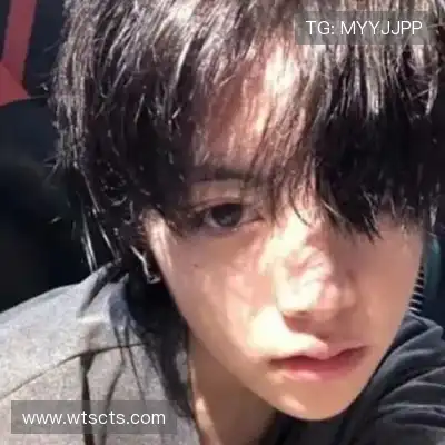 卫昭桥